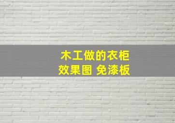 木工做的衣柜效果图 免漆板